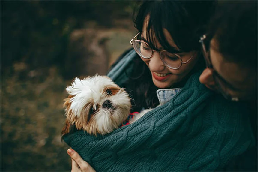 犬のアレルギー症状と治療法｜獣医師が教える正しい対処法5選